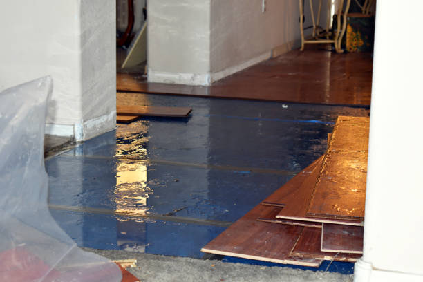Professional Structural Drying technician working in New Lothrop, MI